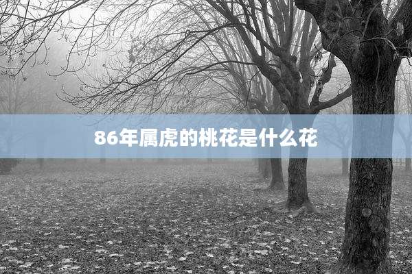 86年属虎的桃花是什么花