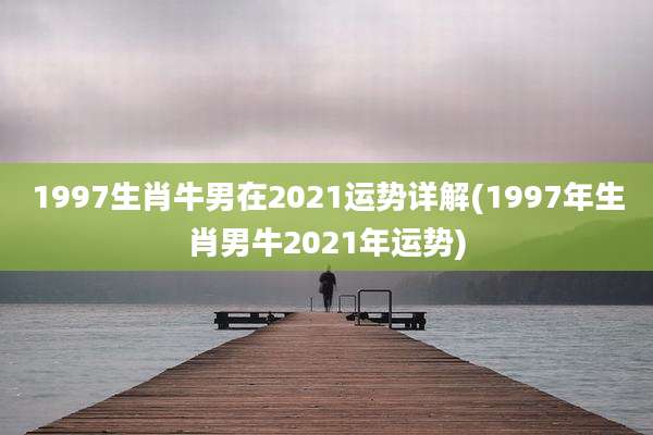 1997生肖牛男在2021运势详解(1997年生肖男牛2021年运势)