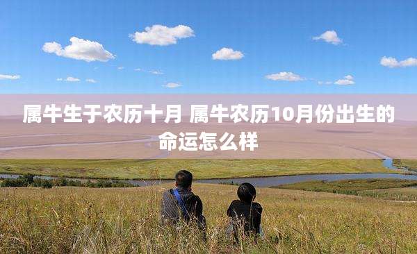 属牛生于农历十月 属牛农历10月份出生的命运怎么样