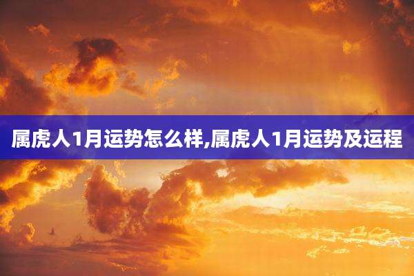 属虎人1月运势怎么样,属虎人1月运势及运程