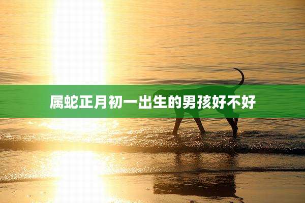 属蛇正月初一出生的男孩好不好