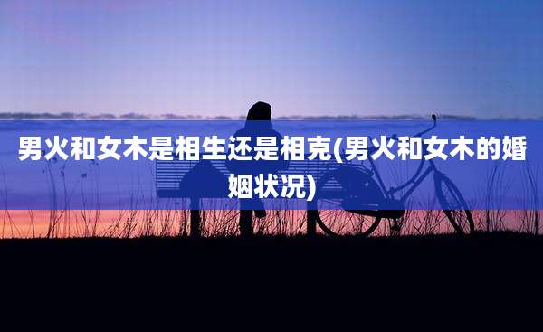 男火和女木是相生还是相克(男火和女木的婚姻状况)
