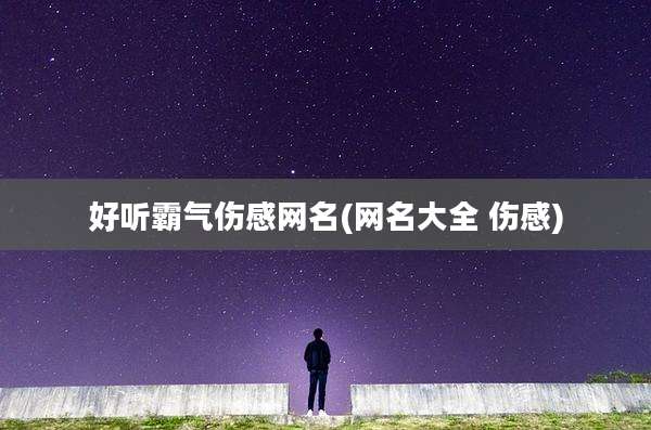 好听霸气伤感网名(网名大全 伤感)
