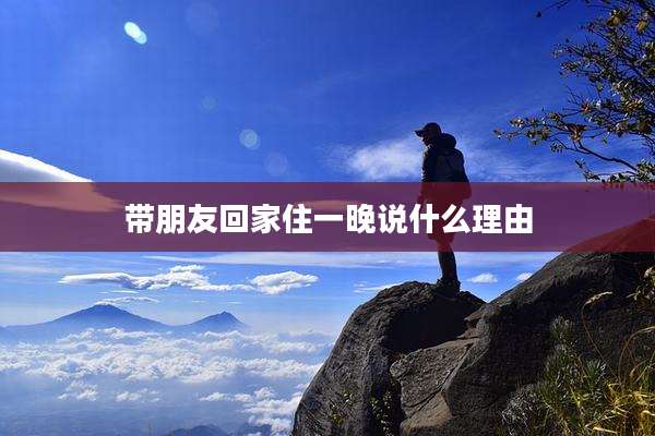 带朋友回家住一晚说什么理由