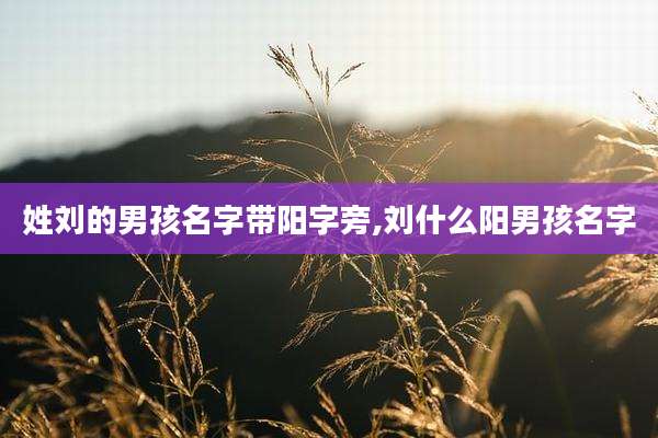姓刘的男孩名字带阳字旁,刘什么阳男孩名字