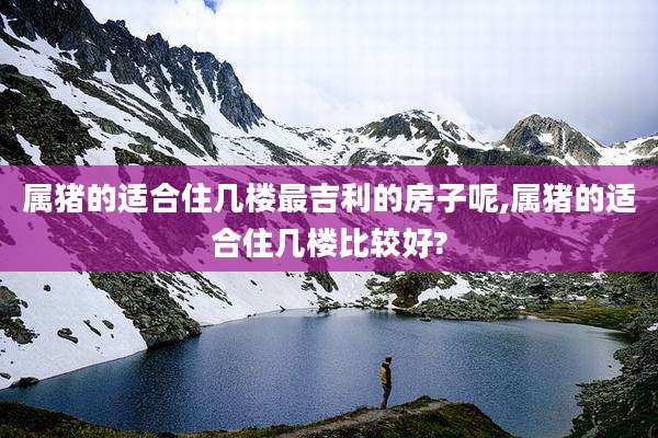 属猪的适合住几楼最吉利的房子呢,属猪的适合住几楼比较好?