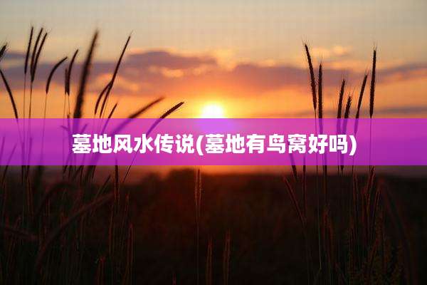 墓地风水传说(墓地有鸟窝好吗)
