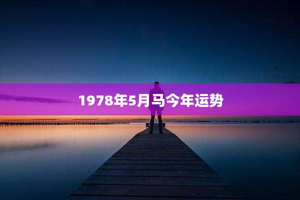 1978年5月马今年运势