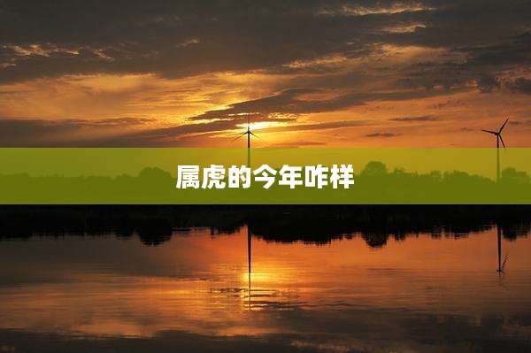 属虎的今年咋样