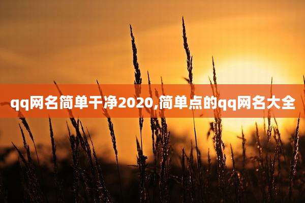 qq网名简单干净2020,简单点的qq网名大全