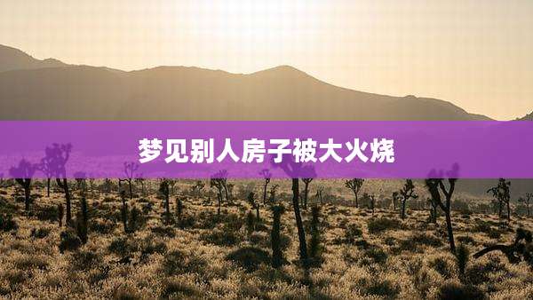 梦见别人房子被大火烧