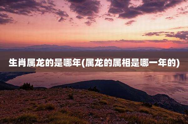 生肖属龙的是哪年(属龙的属相是哪一年的)