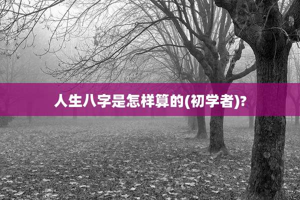 人生八字是怎样算的(初学者)?