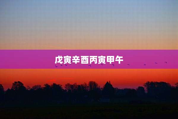戊寅辛酉丙寅甲午