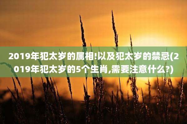 2019年犯太岁的属相!以及犯太岁的禁忌(2019年犯太岁的5个生肖,需要注意什么?)