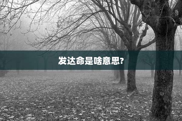 发达命是啥意思?