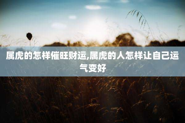 属虎的怎样催旺财运,属虎的人怎样让自己运气变好