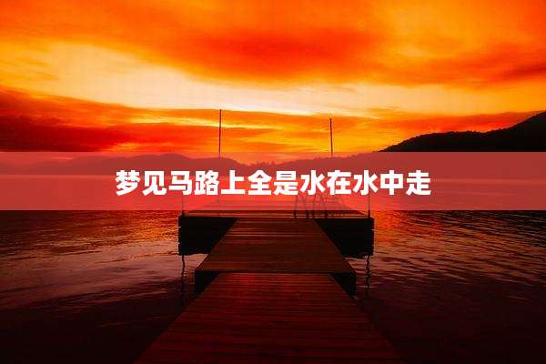 梦见马路上全是水在水中走
