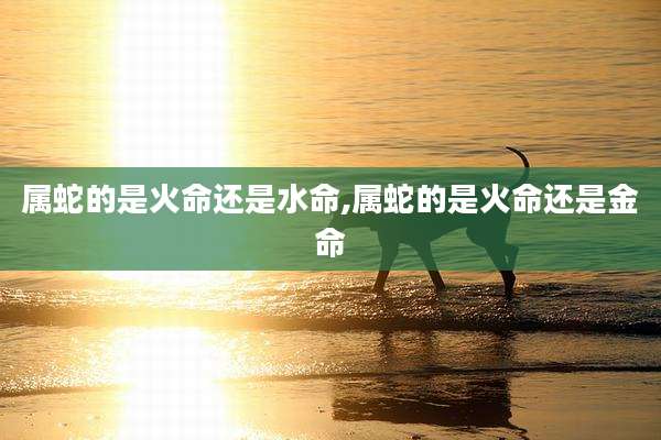 属蛇的是火命还是水命,属蛇的是火命还是金命