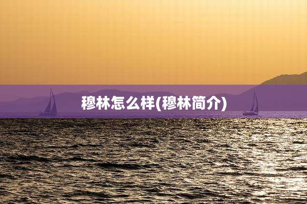 穆林怎么样(穆林简介)