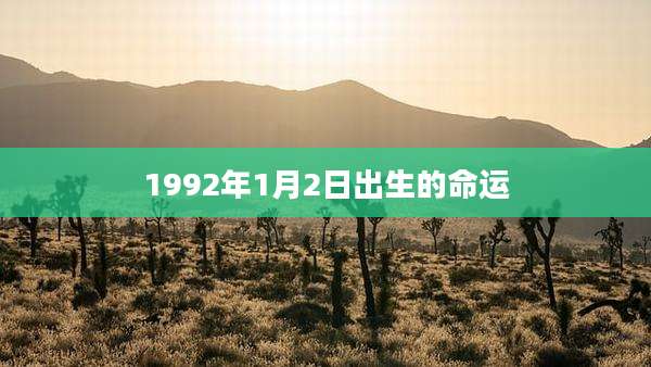 1992年1月2日出生的命运