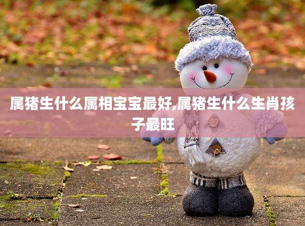 属猪生什么属相宝宝最好,属猪生什么生肖孩子最旺