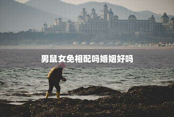 男鼠女免相配吗婚姻好吗