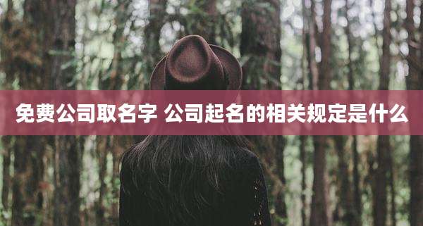 免费公司取名字 公司起名的相关规定是什么