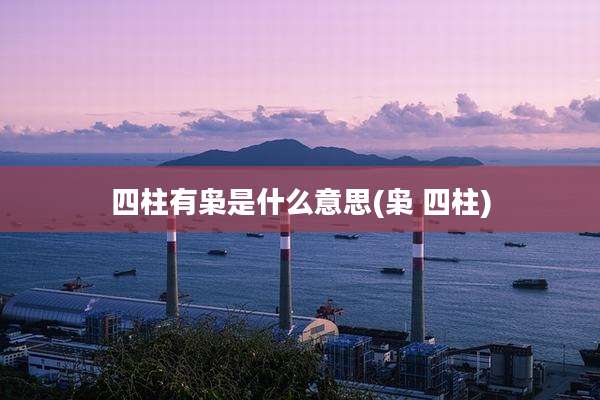 四柱有枭是什么意思(枭 四柱)