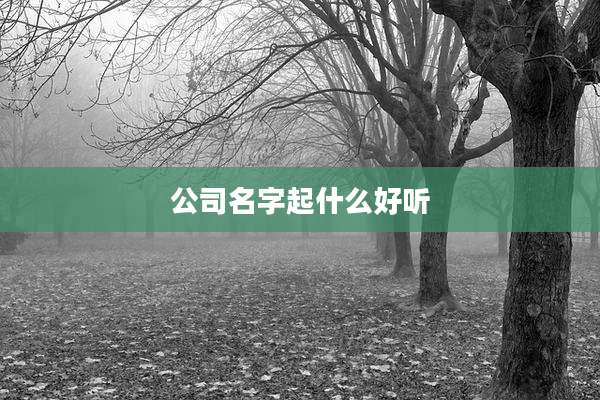 公司名字起什么好听