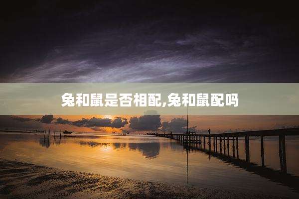 兔和鼠是否相配,兔和鼠配吗