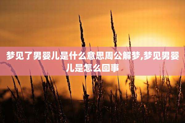 梦见了男婴儿是什么意思周公解梦,梦见男婴儿是怎么回事