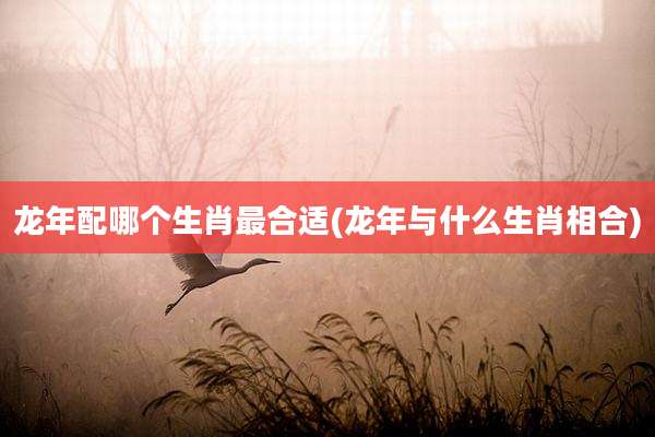 龙年配哪个生肖最合适(龙年与什么生肖相合)