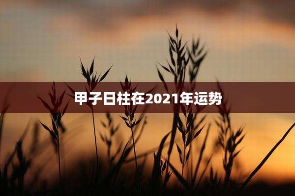 甲子日柱在2021年运势