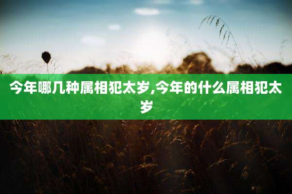 今年哪几种属相犯太岁,今年的什么属相犯太岁