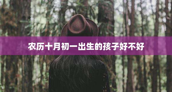 农历十月初一出生的孩子好不好