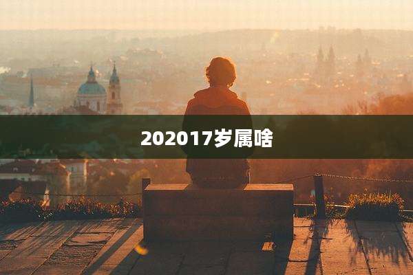 202017岁属啥