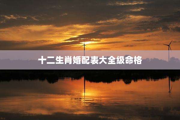 十二生肖婚配表大全级命格
