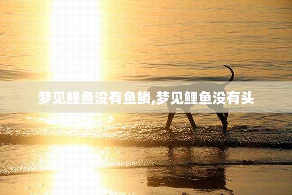 梦见鲤鱼没有鱼鳞,梦见鲤鱼没有头