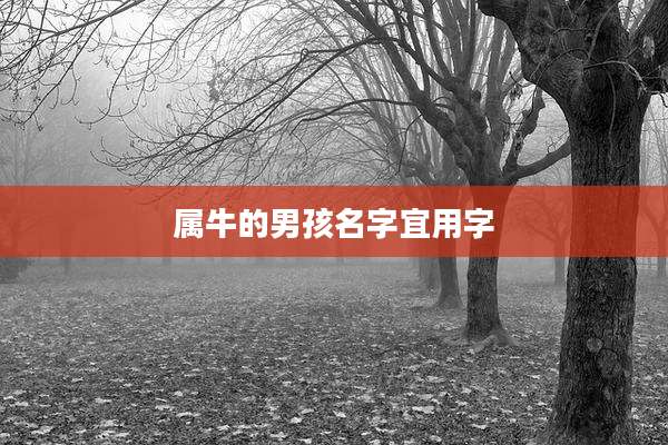 属牛的男孩名字宜用字