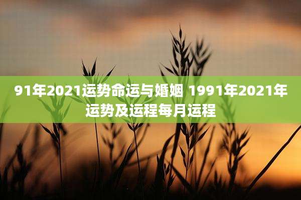 91年2021运势命运与婚姻 1991年2021年运势及运程每月运程