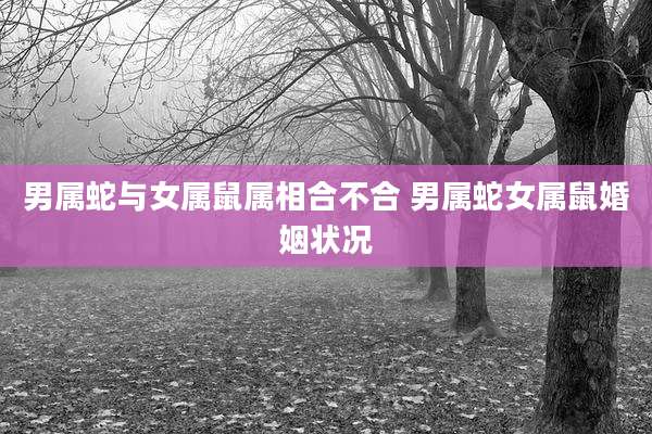 男属蛇与女属鼠属相合不合 男属蛇女属鼠婚姻状况