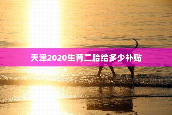 天津2020生育二胎给多少补贴