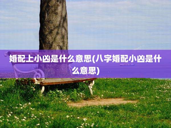 婚配上小凶是什么意思(八字婚配小凶是什么意思)