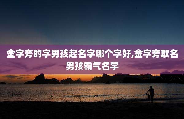 金字旁的字男孩起名字哪个字好,金字旁取名男孩霸气名字