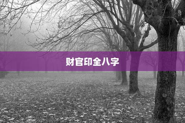 财官印全八字
