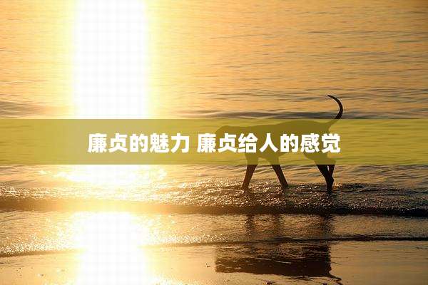 廉贞的魅力 廉贞给人的感觉
