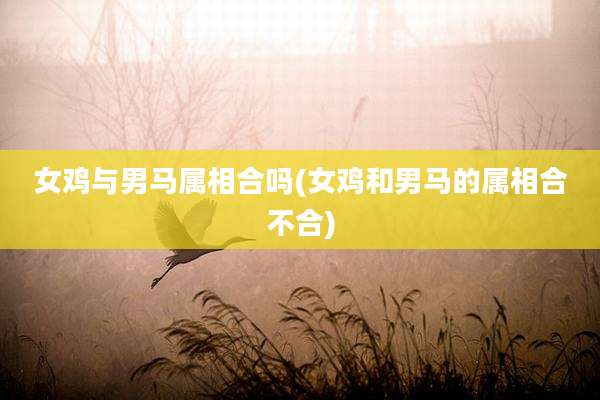 女鸡与男马属相合吗(女鸡和男马的属相合不合)