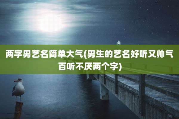 两字男艺名简单大气(男生的艺名好听又帅气百听不厌两个字)