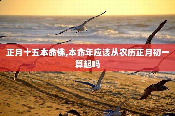 正月十五本命佛,本命年应该从农历正月初一算起吗